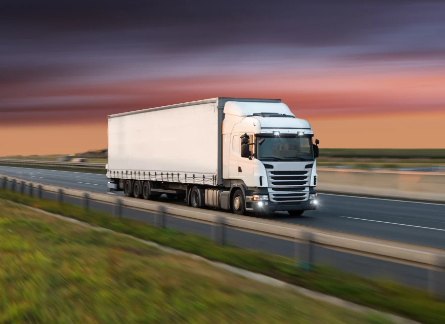 Trasporto Groupage Free Service